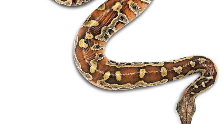 How to stop moving object in your Body! Moving Demons in your body Die by Fire!