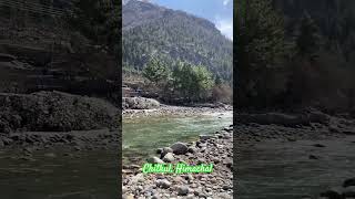 Soothing sounds of Baspa River 🌊 pure peace!#shorts #ytshorts #chitkul #kalpa #kinnaur #himachal
