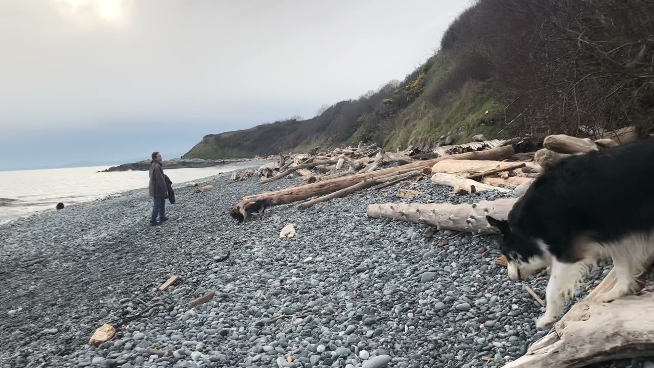 Dallas road Beach, Victoria, BC