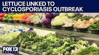 Health officials track lettuce as possible source of cyclosporiasis outbreak