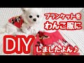 【DIY】フリースブランケットをわんこ服に作り替えました