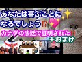 あなたは喜ぶことになるでしょう⁉️ カナダの法廷で証明された❗️＋おまけ
