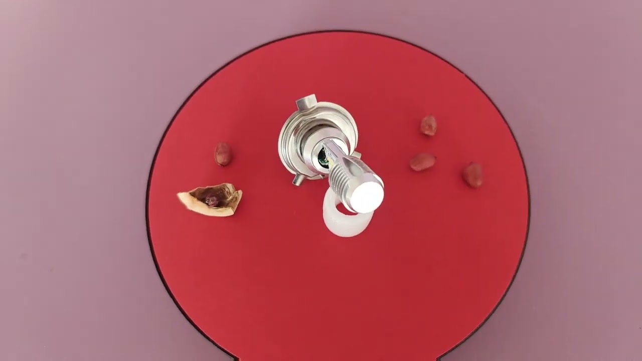 Chinese manufacturer,led zeppelin international motor speedway,apa itu lampu led motor,led in motor,