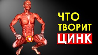 Что Произойдет с Телом, Если Принимать Цинк? Почему Мужчинам Спортсменам так Важен Цинк?