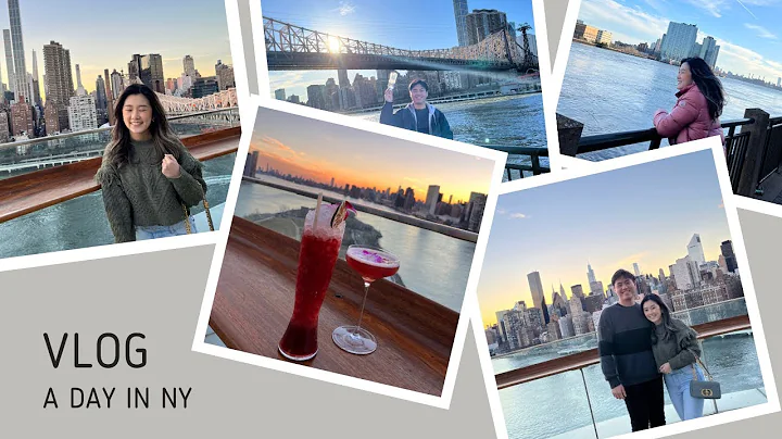 Daily vlog in New York: Lunch | Tram  | Roosevelt ...