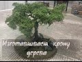 Террейн: как просто изготовить крону дерева