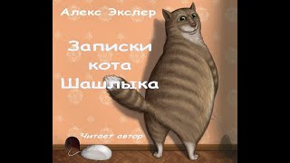 Записки кота Шашлыка, аудиокнига
