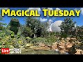 🔴Live: Magical Tuesday at Epcot - Flower &amp; Garden Festival Preview - Walt Disney World - 2-20-24
