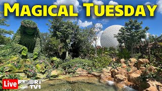 Live: Magical Tuesday at Epcot  Flower & Garden Festival Preview  Walt Disney World  22024