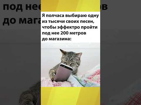 МЕМЫ ЕСТЬ МЕМЫ  #приколы #юмор #лютыеприколы #школа #котики #мемы #троллинг #shorts