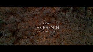 Forest: The breach | Cinematic short film | Sony A7iii