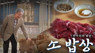 우리 삶에서 귀중하고 없어서는 안 될 존재 '소 밥상', Korean Food최불암의 한국인의밥상 KBS 20210401