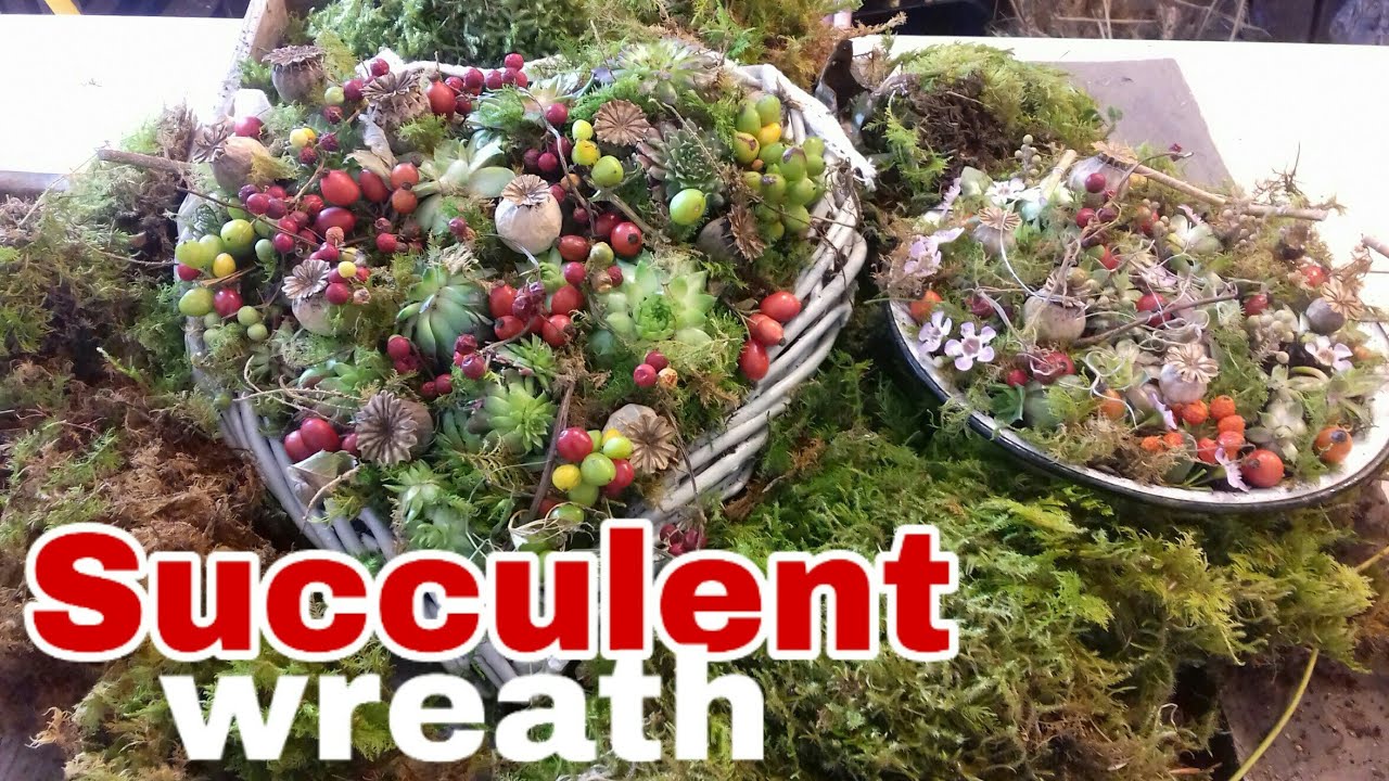 다육이 리스만들기 다육이분갈이 Succulent wreath Succulent arrangements