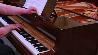 Frédéric Chopins Raindrop Prelude, Op 28, No. 15