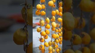 Foraging &amp; Cooking: The Secret of Natural Sugary "Frost" on Dried Persimmons 🍊 #cooking #foraging