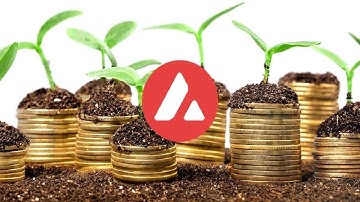 Large profits on Deploying AVAX Flash Loan Arbitrage Tutorial  with PancakeSwap  / Uniswap.