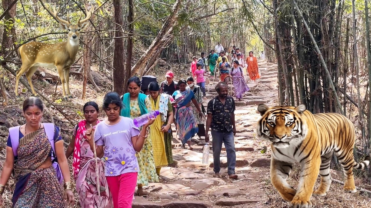 Venkatapuram To Srisailam Padayatra 2026 | Srisailam Temple | Srisailam Padayatra Full details Te...