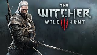 EXCLUSIVO: Brasileira responsável pela tradução de The Witcher III: Wild  Hunt abre o jogo sobre seu trabalho - Drops de Jogos