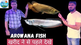 Easy Care tips for Arowana Fish | Arif Momin |How to keep a Arowana Fish | Medicine | Arowana Food