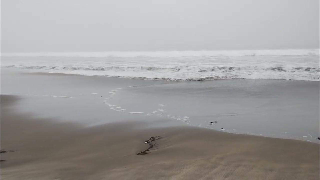 Playa El Bato (Loncura, Chile) (2) YouTube