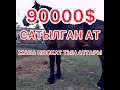 90000$ САТЫЛГАН АТ ЖАНА НООКАТ АТТАРЫ