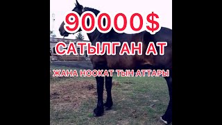 90000$ САТЫЛГАН АТ ЖАНА НООКАТ АТТАРЫ