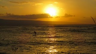 Maui Highlights-Aloha From Paradise!
