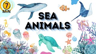 SEA ANIMALS | Kids & Toddlers | Kids Learning | Easy Sea Animals | Kids Vocabulary