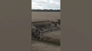 The Machine That Makes It Simple Nexatcanola 