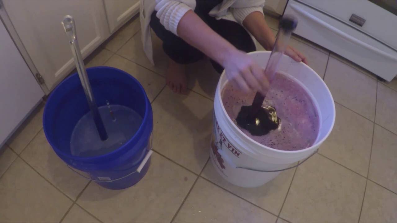 How to Take a Hydrometer Reading YouTube