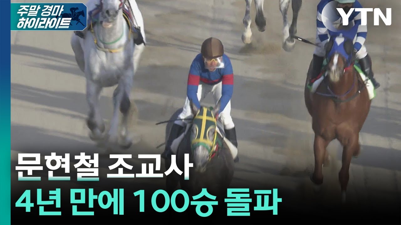[주간 경마] 문현철 조교사, 4년 만에 100승 돌파 / YTN