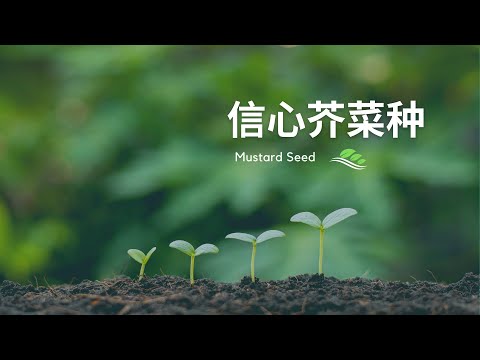 【信心芥菜種 The Mustard Seed of Faith 】- 信心像一粒芥菜種 | 讚美詩歌 原創詩歌