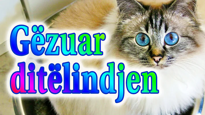 Watch the video about Gëzuar ditëlindjen - Mace Birman