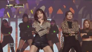 Video thumbnail of "【TVPP】 EXID – Abracadabra, 이엑스아이디 - 아브라카다브라 @2016 KMF"