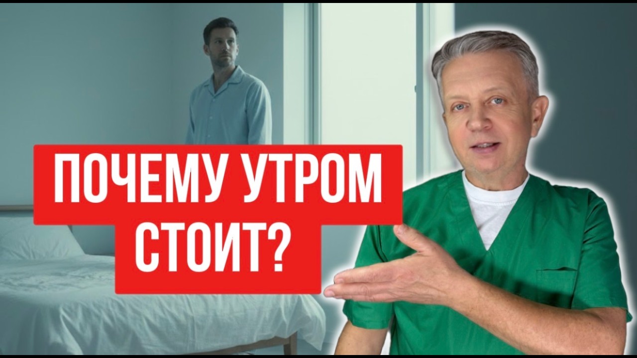 Почему Утром Бывает Эрекция? Врач Объясняет Без Мифов и Стыда.