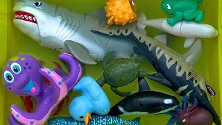 Ocean Animals Playtime | Learn Sea Animals Names &amp; Fun Facts for Kids