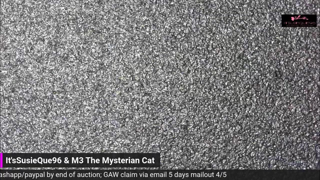 Low Dough Show; Medical Move Auction BIN & GAW 1 YouTube