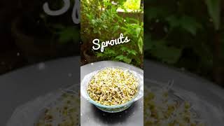 sprouts how to make | sprouts making | sprouts at home | sprouts growing