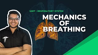 Respiratory System MBBS 1st year | Mechanics of Breathing | MBBS Physiology lectures |
