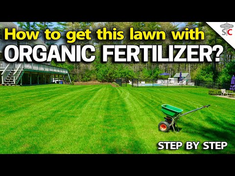 Best ORGANIC Lawn Fertilizer & Tricks making it Work