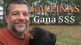 5 Beneficios de Criar Gallinas [Y COMO GANAR DINERO CON ELLOS]