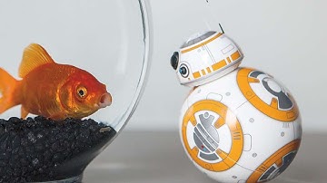 Sphero Star Wars BB-8 Droid