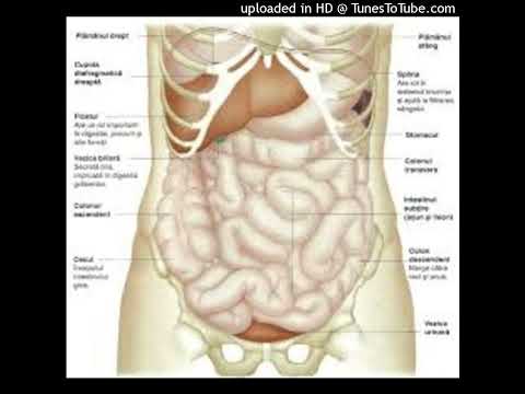 Video: Mancare care normalizeaza hormonii