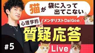 猫が袋に入ったので質疑応答#5