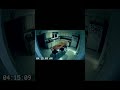 Kitchen Objects Move By Themselves