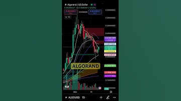 ALGO CRYPTO HOLDING AT THE 50 DAY MA