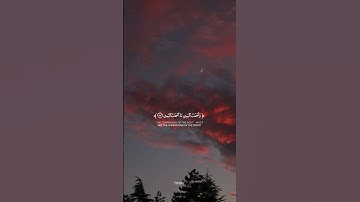 لَا يَسْمَعُونَ فِيهَا لَغْوًا وَلَا تَأْثِيمًا | #احمد_خضر | #سورة_الواقعة