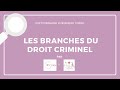 Branches du droit criminel en droit pnal 