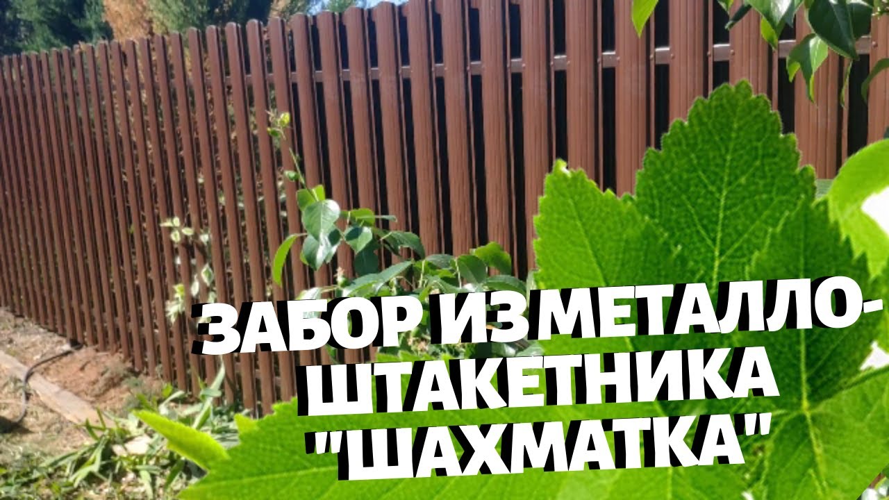 ЗАБОР ИЗ ЕВРОШТАКЕТНИКА - ШАХМАТКА, НЕДОРОГОЙ ЗАБОР ИЗ МЕТАЛЛИЧЕСКОГО ...