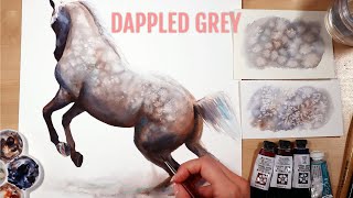How to Paint Dappled Grey in Watercolor Easy Tutorial